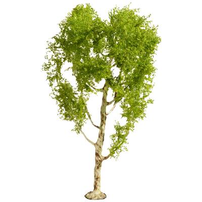 NOCH 20125 Tree Downy birch 210 mm 1 pc(s)
