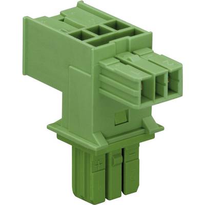 WAGO Mains T distributor Mains plug - Mains socket, Mains socket Total number of pins: 2 Green 1 pc(s)