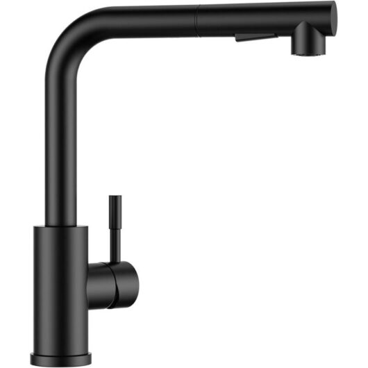 Kitchen Faucet with Pull-Out Sprayer and 2 Spray Modes, Kitchen Mixer Tap with 360° Rotating Pull-Out Sprayer, Hot & Cold, Black
