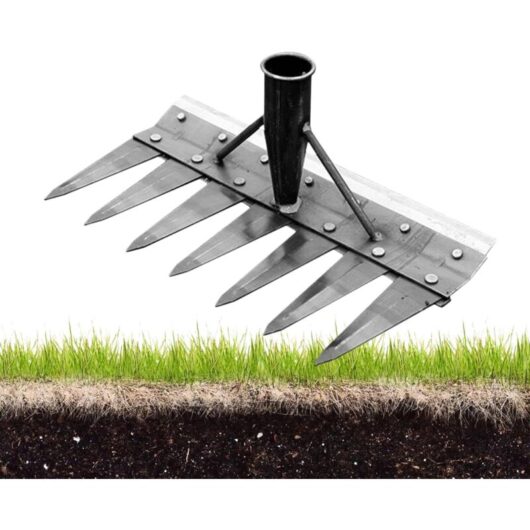 2 in 1 Garden Tool - 7-Prong Weeder and Rake, Multifunction for Lawn, Vegetable Garden, and Green Area Maintenance