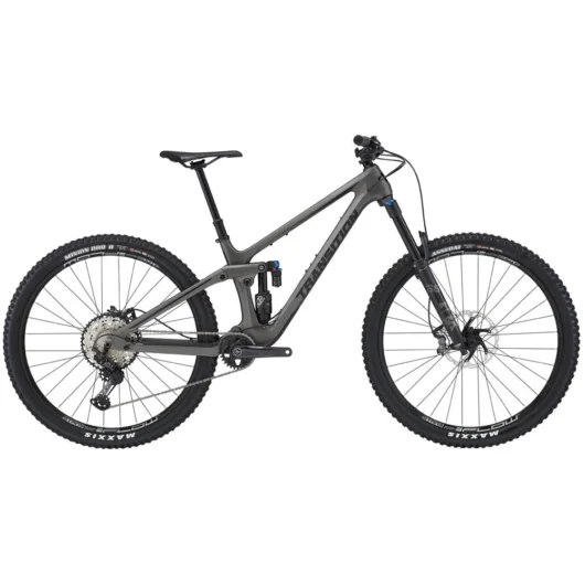 Transition Sentinel XT 29er Carbon Mountain Bike 2022 Titanium Grey