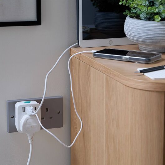 Usb Adaptor With Pass-Through Plug
