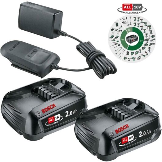 Bosch 18V Starter Set PBA 2x 2.0Ah Battery Power4All Charger Kit Power For All